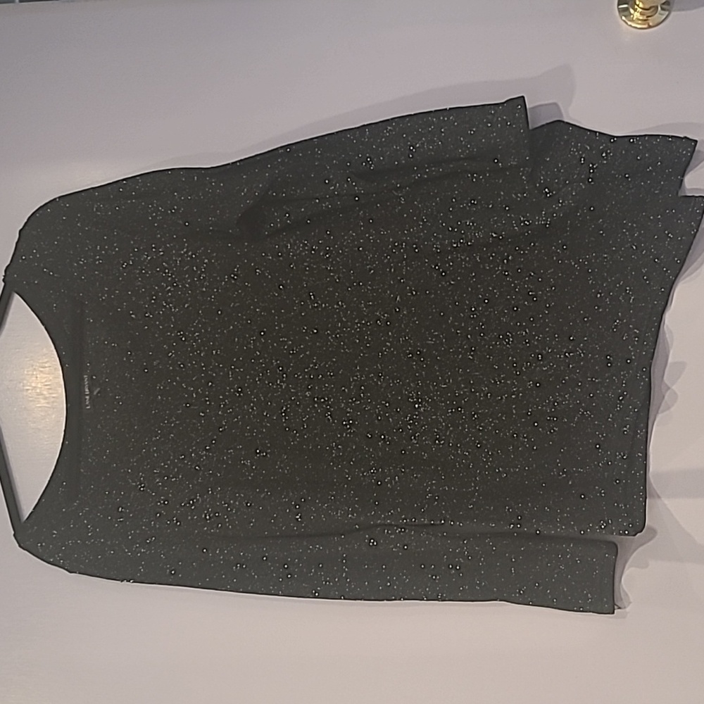 Lane Bryant Sparkle Top